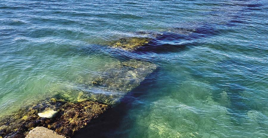 Прозрачная вода у берега