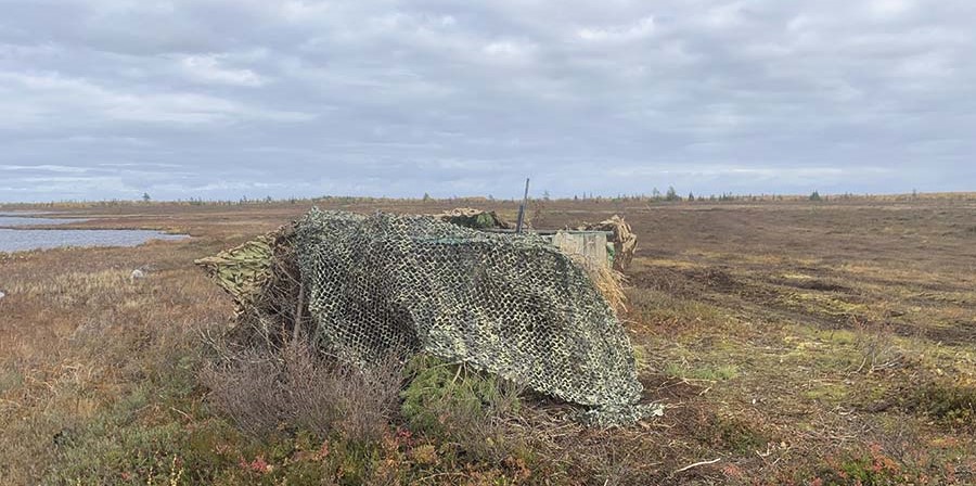 Скрадок в поле