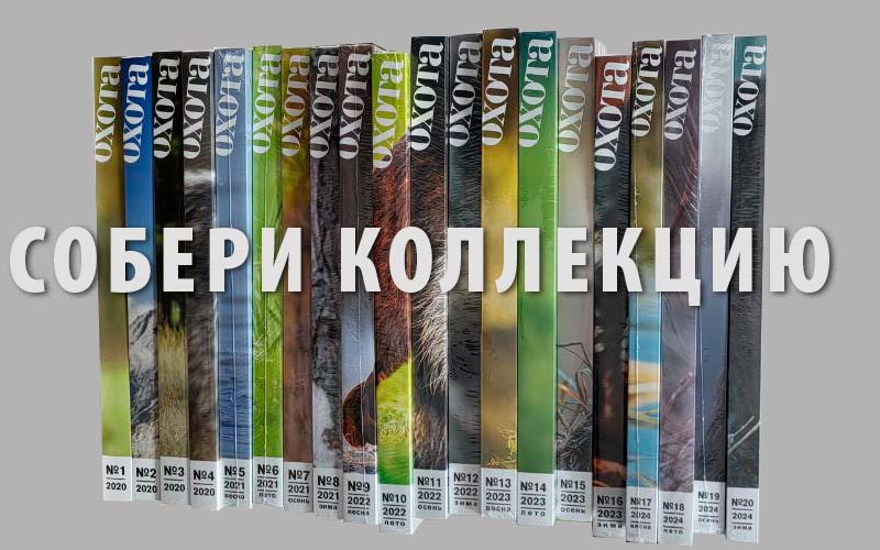 комплект журналов ОХОТА