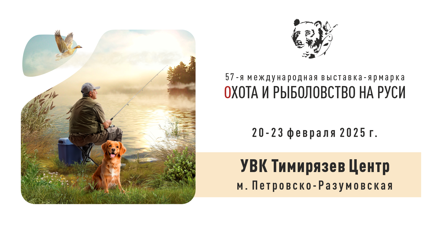 выставка